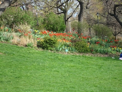 2011 Spring Scenery Walk - Riverside Park 33